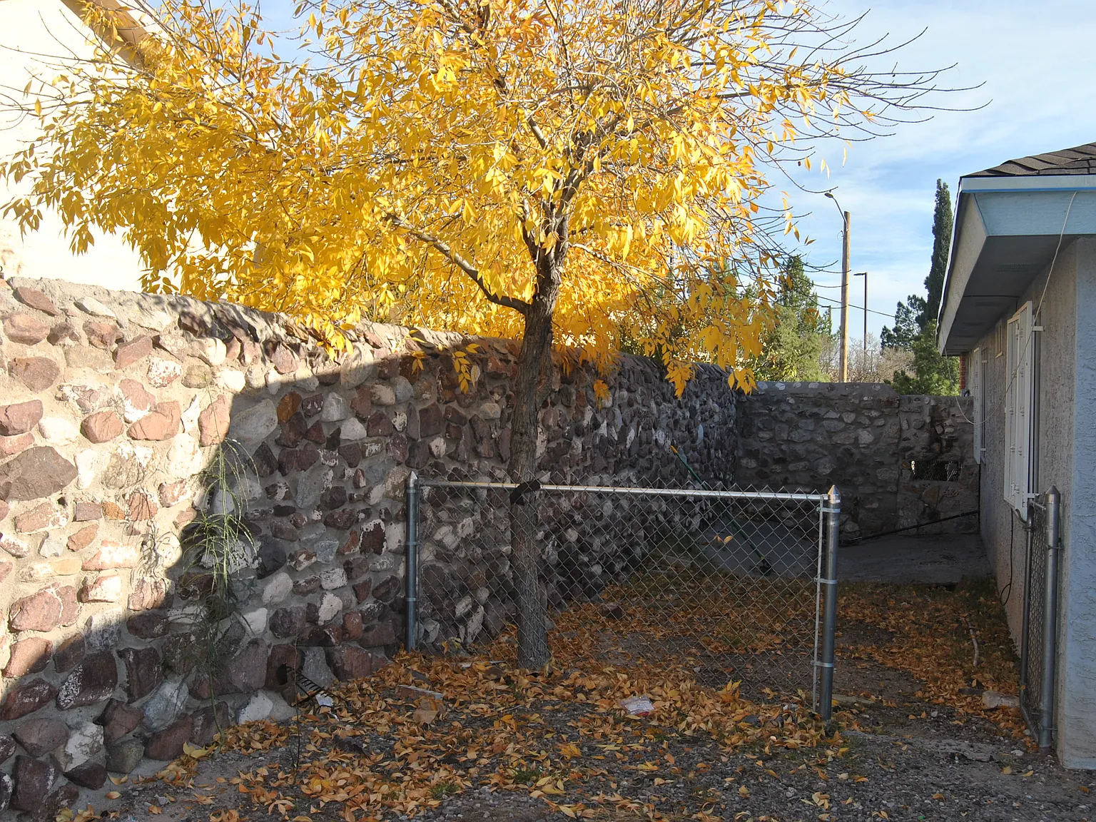 Arisano (321) - 10/22/2015 - 1 — Photo 3