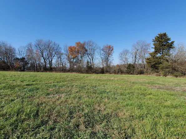 6533 S Lock Lane (Lot 3), Republic, MO 65738