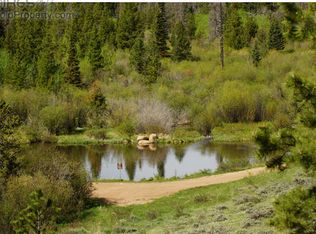 1320 Tiny Bob Rd, Red Feather Lakes, CO 80545