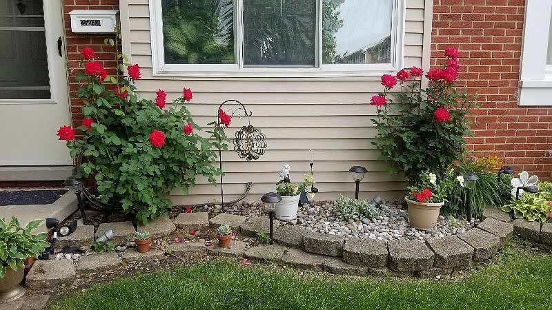 1st image of 25944 Jeanette Ct #21