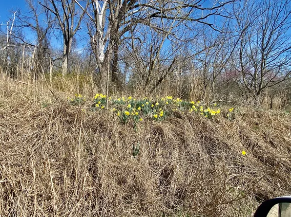 000 E Dade 46, Greenfield, MO 65661