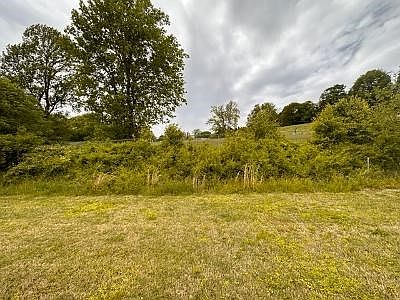 5th image of 950 Deer Haven Dr