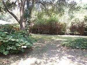 backy yard shade