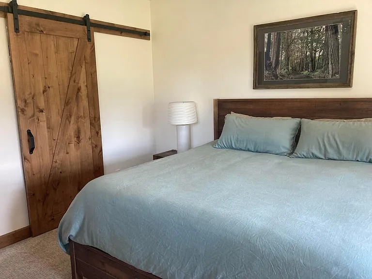 Master bedroom with walk in closet behind door