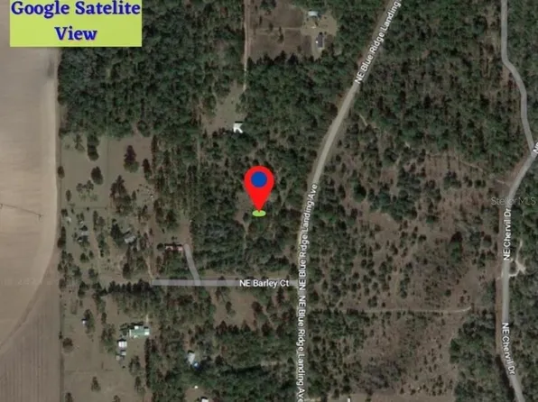 NE Blue Ridge Landing Ave, Lee, FL 32059