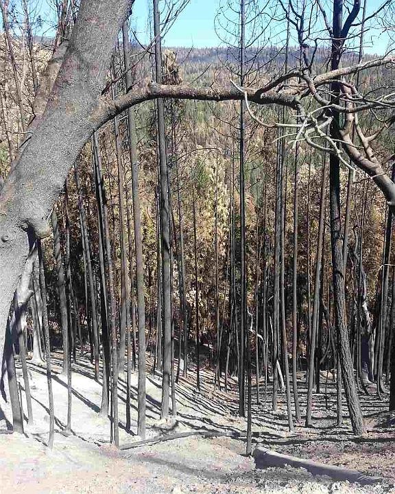 1st image of Middle Creek Rd