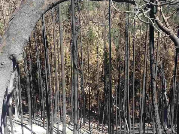 Middle Creek Rd, Klamath River, CA 96050