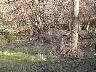 2nd image of 1680 Easton Trl