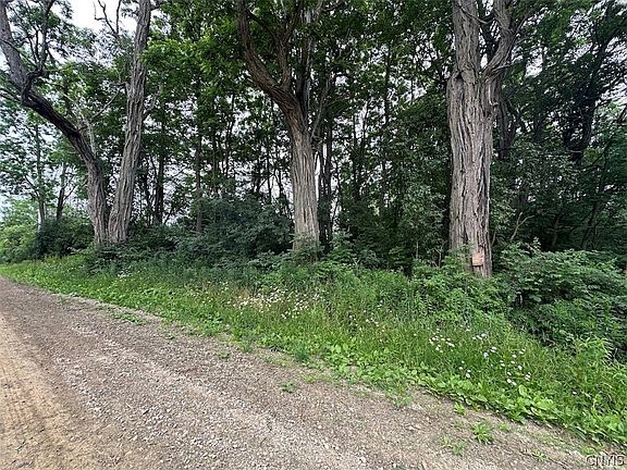 3rd image of Flat Iron Rd