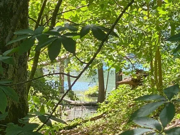 8 S Chapman Rd, La Follette, TN 37766