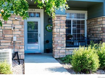457 Black Feather Loop #703, Castle Rock, CO, 80104