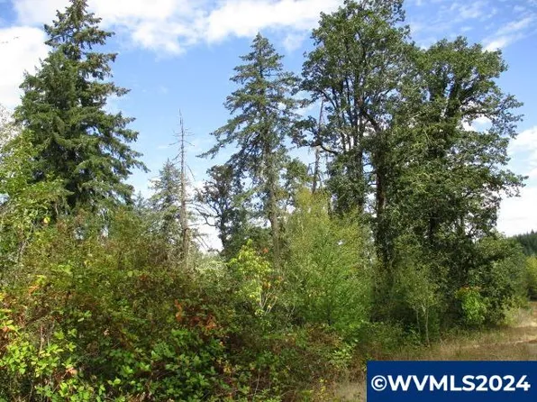 0 Bellinger Scale Rd, Lebanon, OR 97355