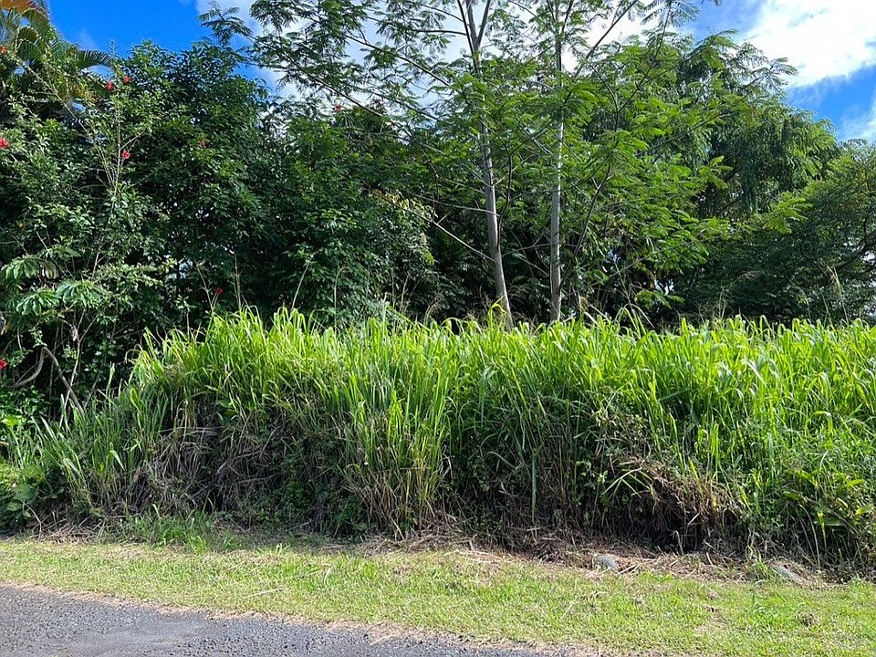 1st image of N Kawakawa St