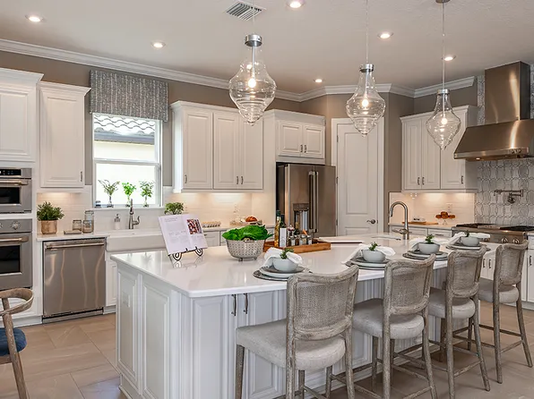 29680 Imperati Blvd, Wesley Chapel, FL 33545