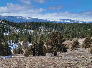 628 Canyon Rim, Portola, CA 96122