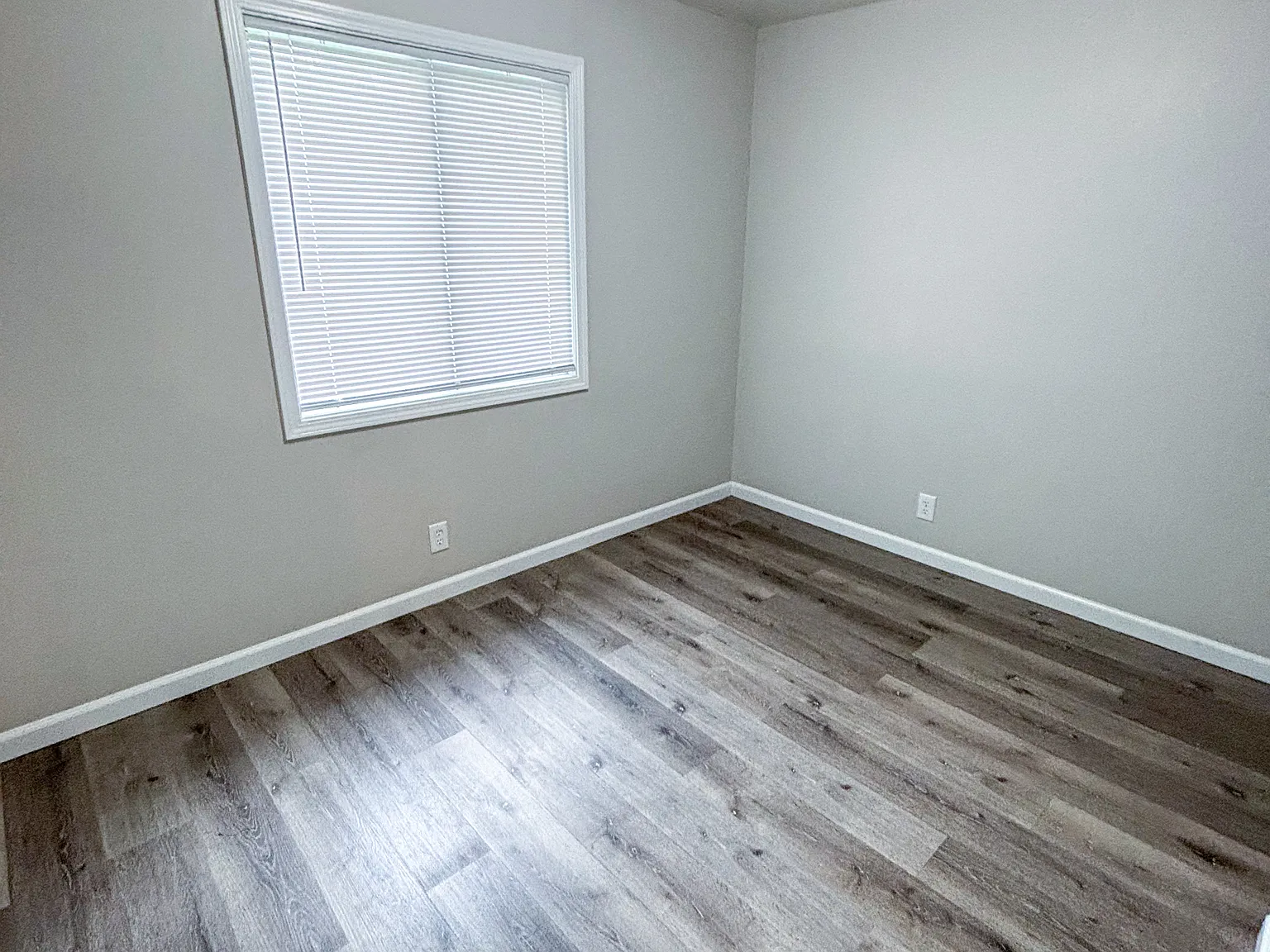 Polkview Apartments — Photo 2