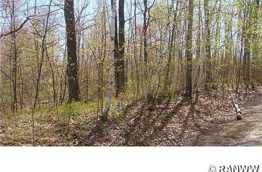 4th image of SW-SW Thunderpoint Road