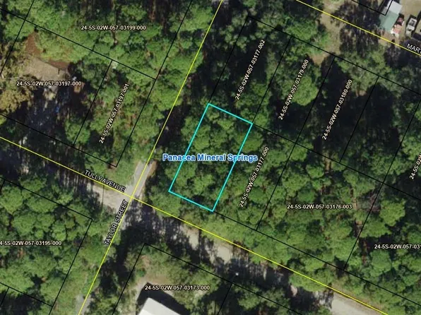 Xx Tully Ave, Panacea, FL 32346