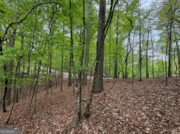 1833 Newport Dr, Ellijay, GA 30540