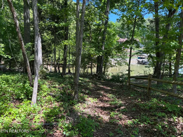E Shore Dr, Rockwood, TN 37854