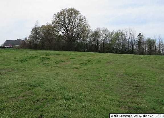 3rd image of 1057 Misty Valley Dr