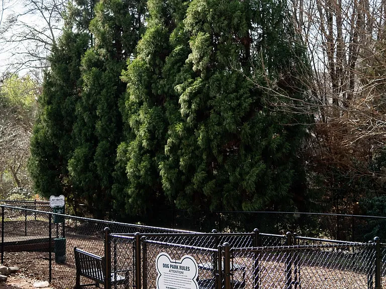 Dog Park