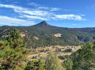 17038 Blue Heron Dr, Pine, CO 80470