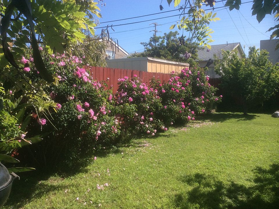 2nd image of 4451 33rd Pl