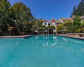 Commons at Verandas in Tanasbourne Apartments — Photo 50