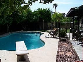 Covered Patio w6 Mature Citus Trees