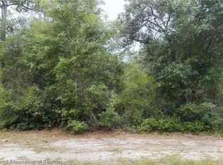 359 Coolidge Ave NE, Lake Placid, FL 33852