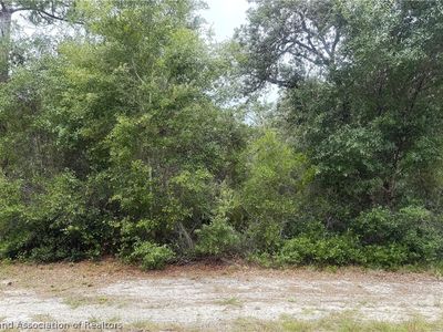 359 Coolidge Ave NE, Lake Placid, FL, 33852