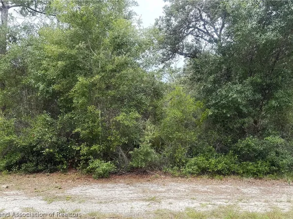 359 Coolidge Ave NE, Lake Placid, FL 33852