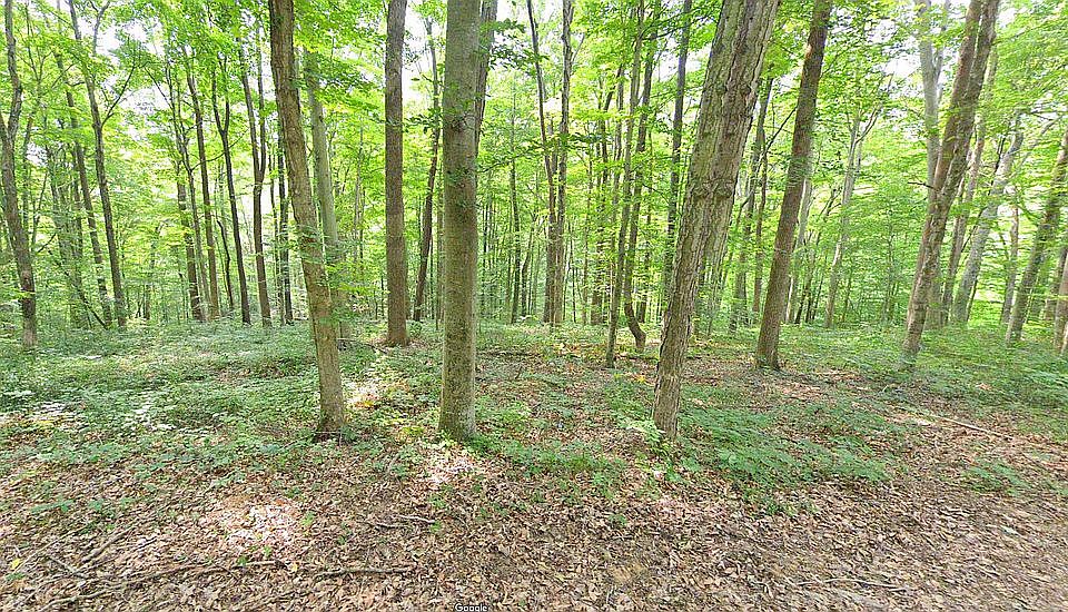 2nd image of 0 Quillback Ln Lot 218