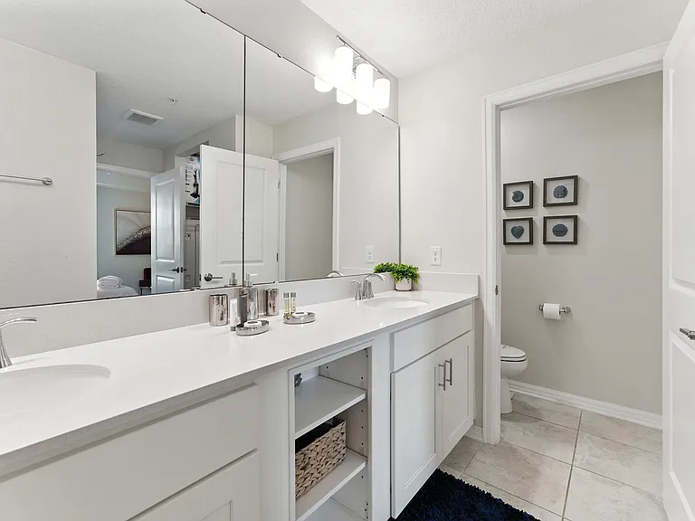 Paradox Cir — Photo 19