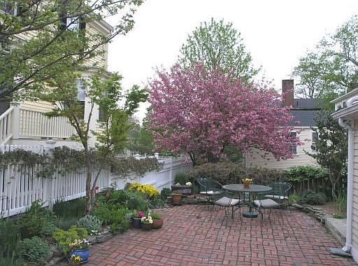 Patio/Upper Yard/2 Car Parking