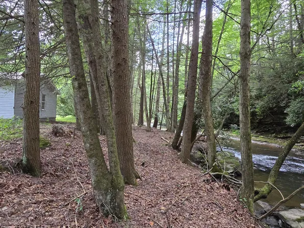 238 Coggins Knob Rd, Leivasy, WV 26676