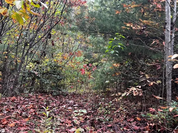 LOT 6 Carson Cove Rd, Franklin, NC 28734