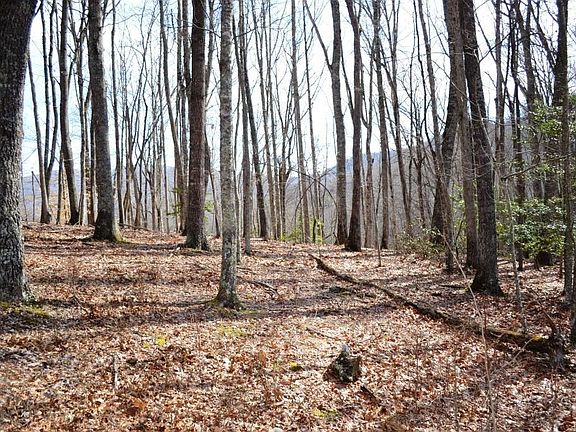 5th image of Pine Knoll Ln