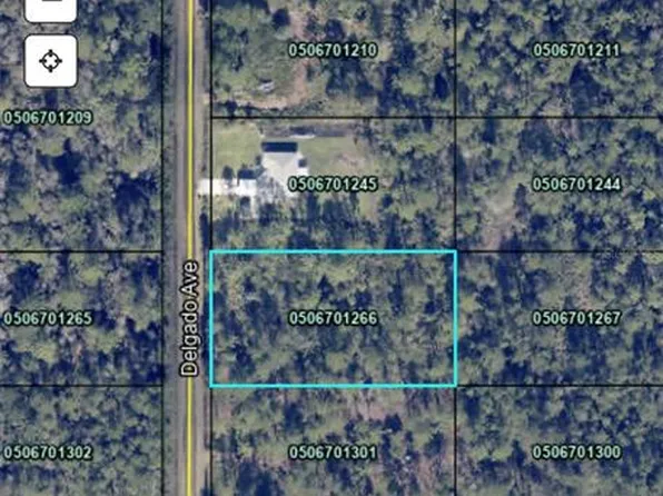 10500 Delgado Ave, Hastings, FL 32145