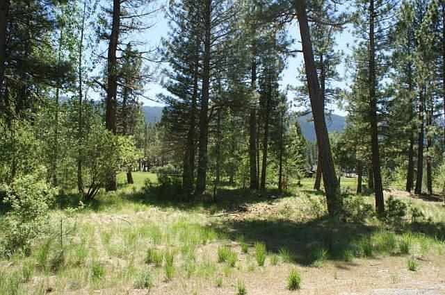 2nd image of 973 Prospector Dr