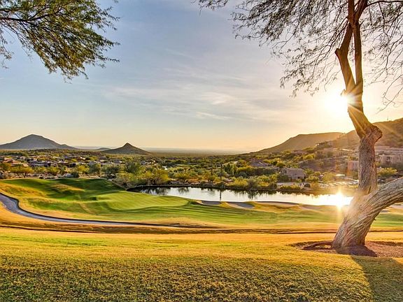 Desert Willow (29)