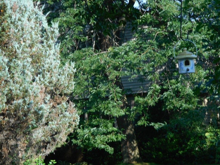 2nd image of 922 Woodgate Ct