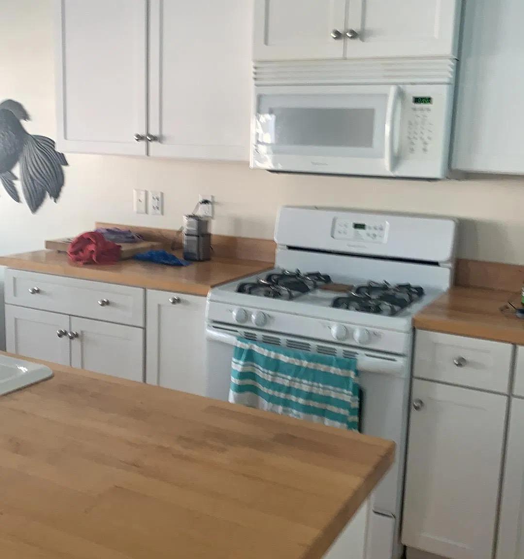 3 bed, 1050 sqft, $1,500 — Photo 2
