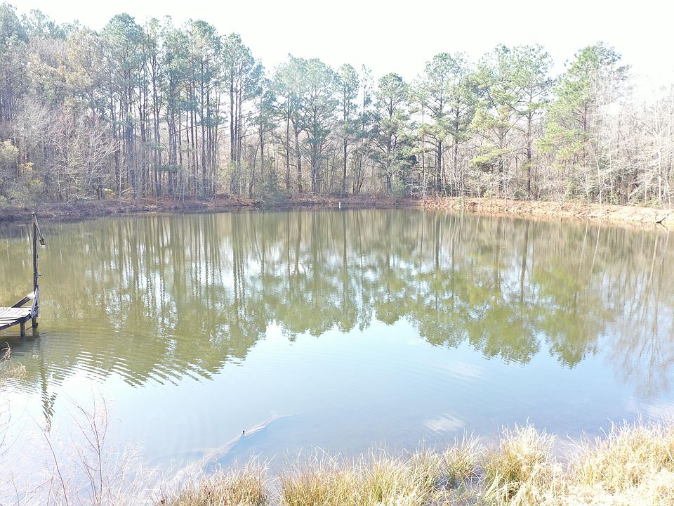 19th image of this home