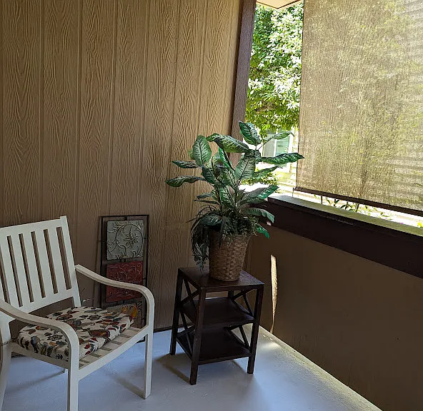 8201 Camino Colegio Dr #213 — Photo 24
