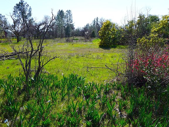 5th image of 17435 Lassen Ave