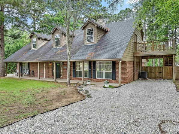 16691 S Lakeview Dr, Troup, TX 75789