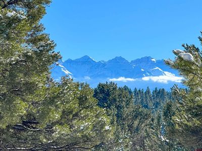 681 Marmot Dr, Ridgway, CO, 81432