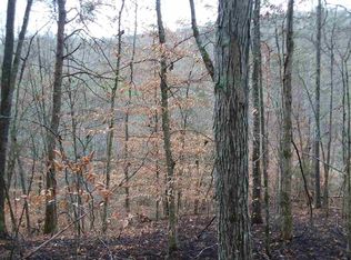 0 Cool Branch Rd, Sneedville, TN 37869